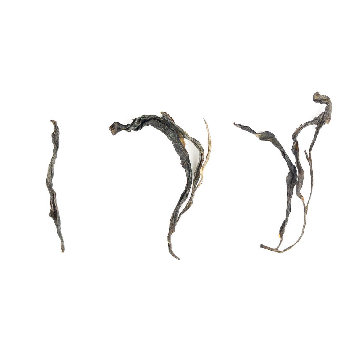2024 Nyot Ou Ancient Forest Raw Puerh from Laos