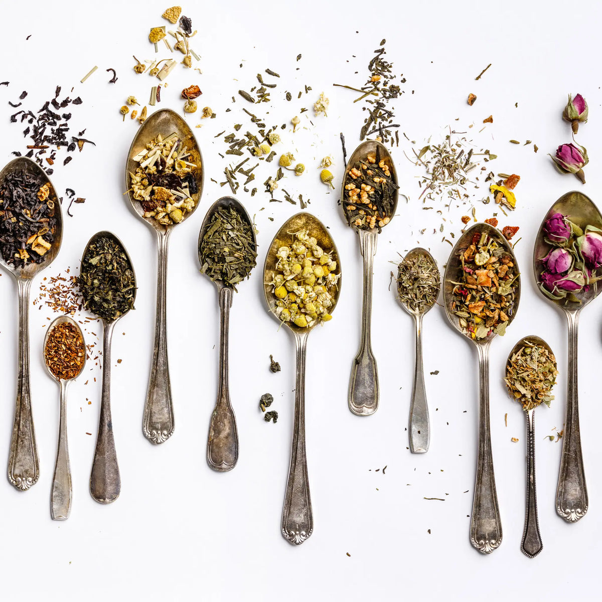 Teaspoonfuls of various herbs and spices on a white background - Fall and Winter Favorites Tea Set