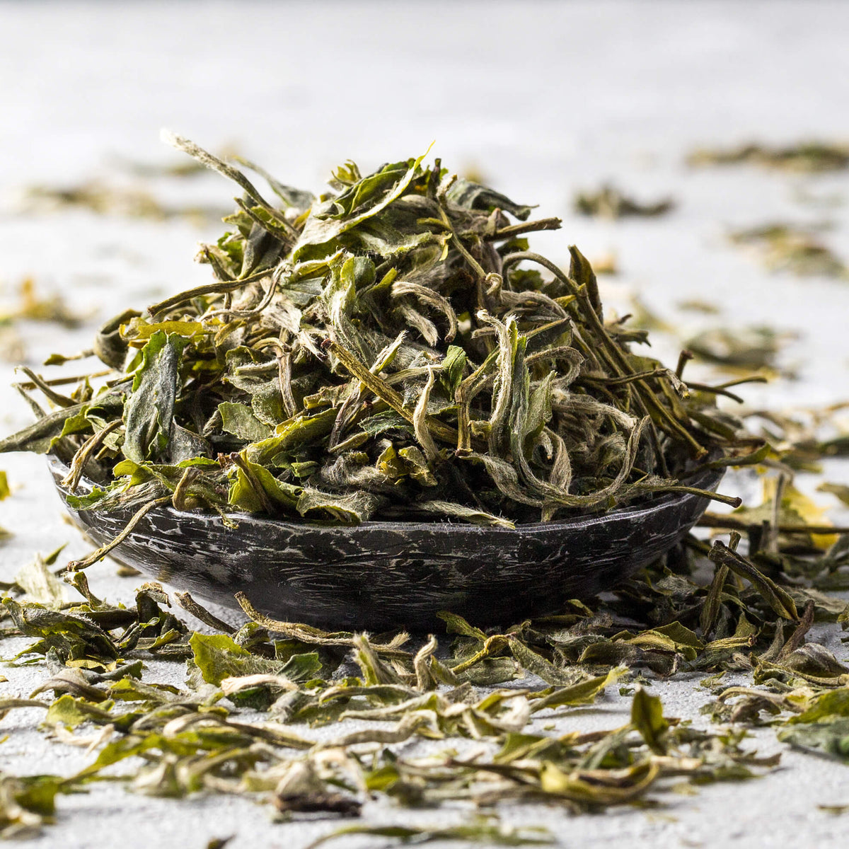 Green Tea Sampler Box Set