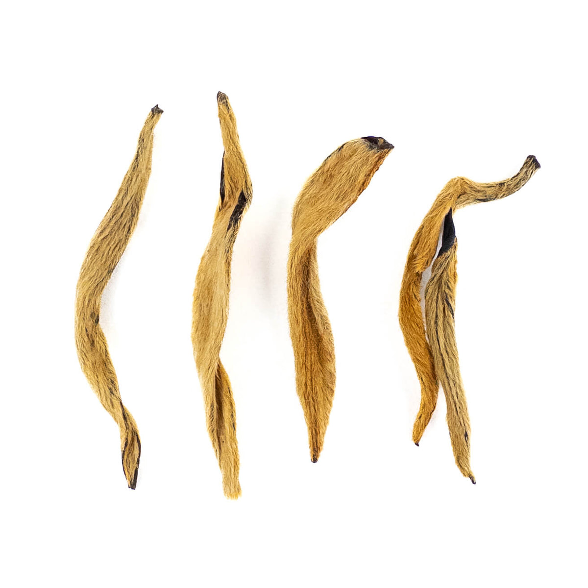 2025 Jin Ya Golden Buds Black Tea from Yunnan