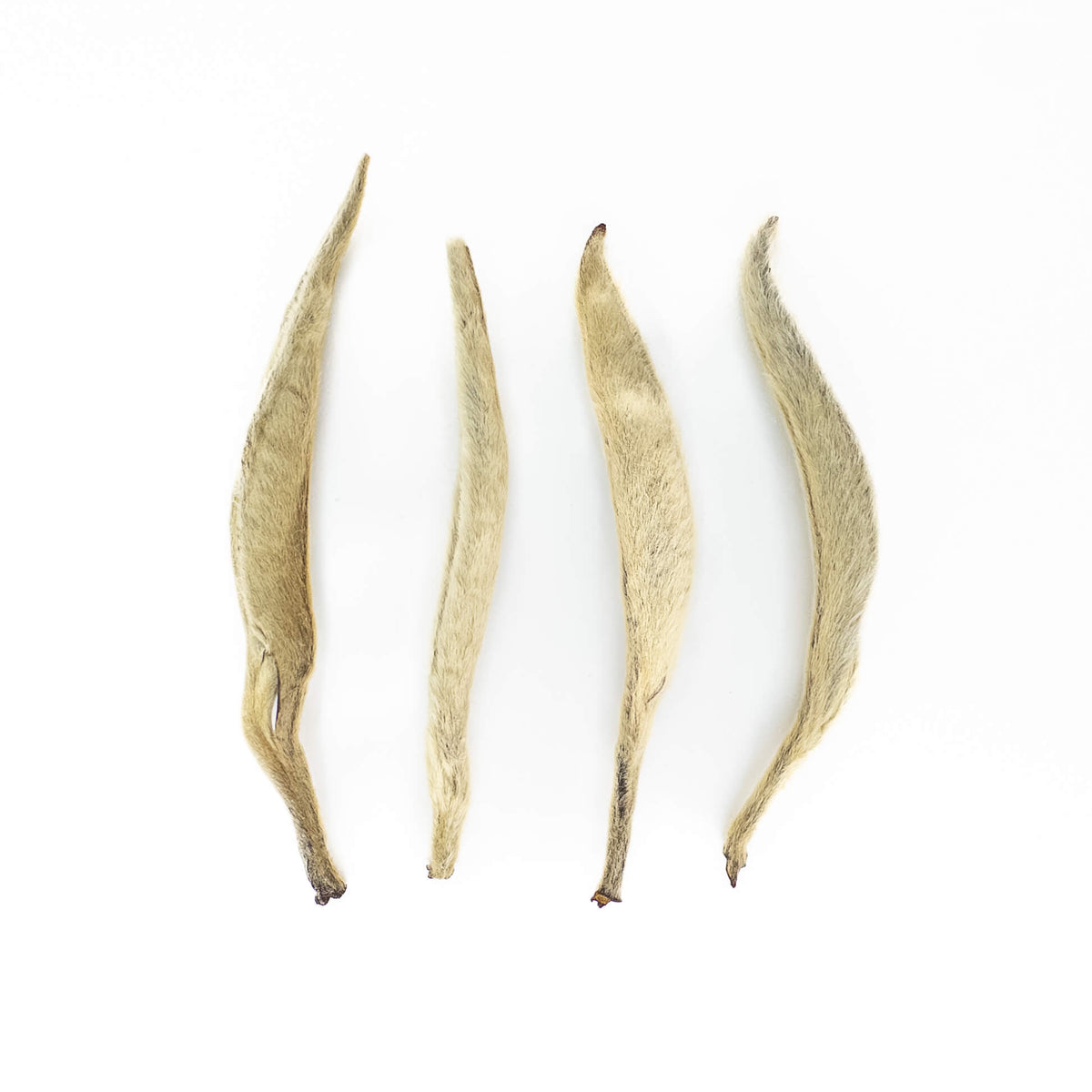 Sun-Dried Yunnan Silver Needles White Tea