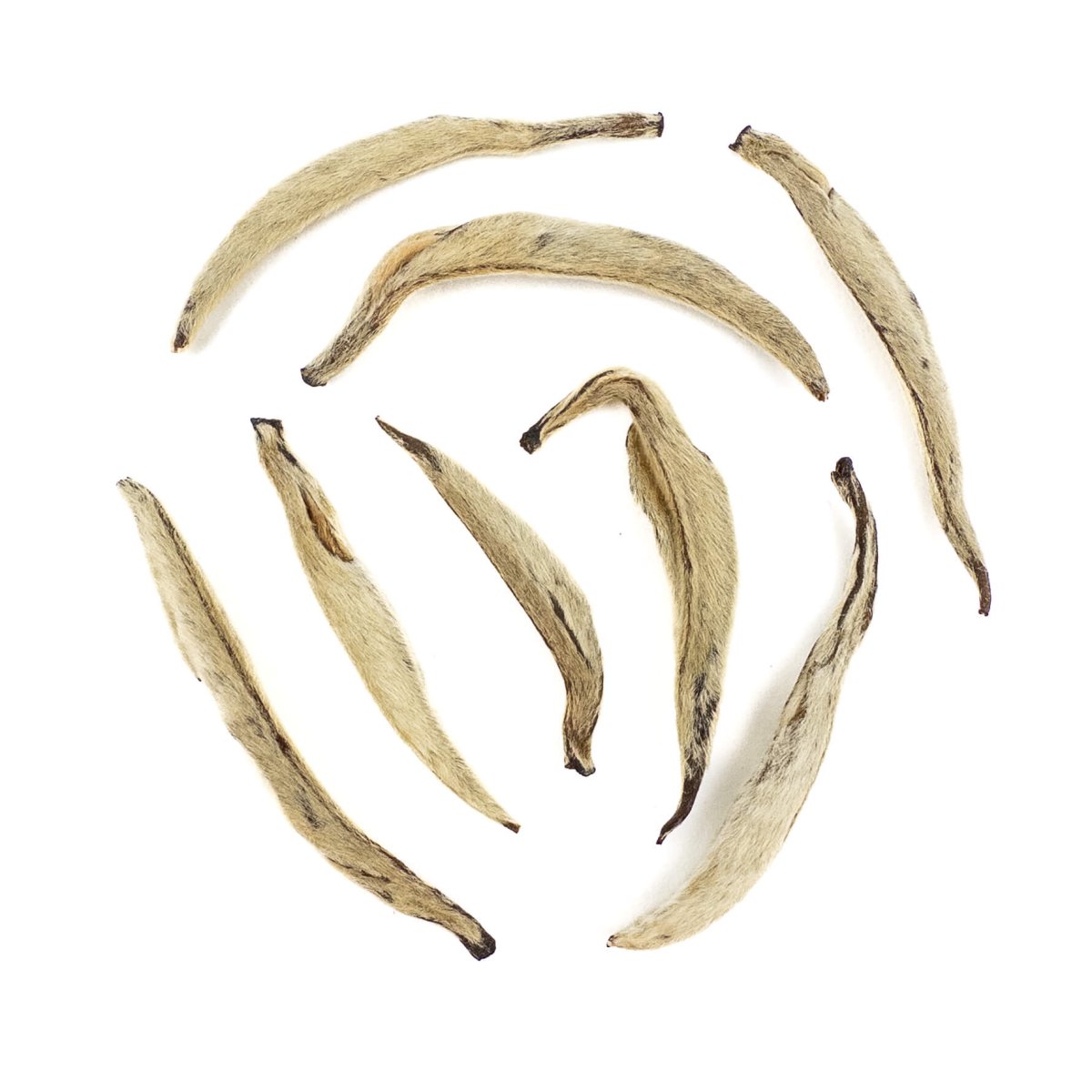 Jasmine Silver Needle White Tea