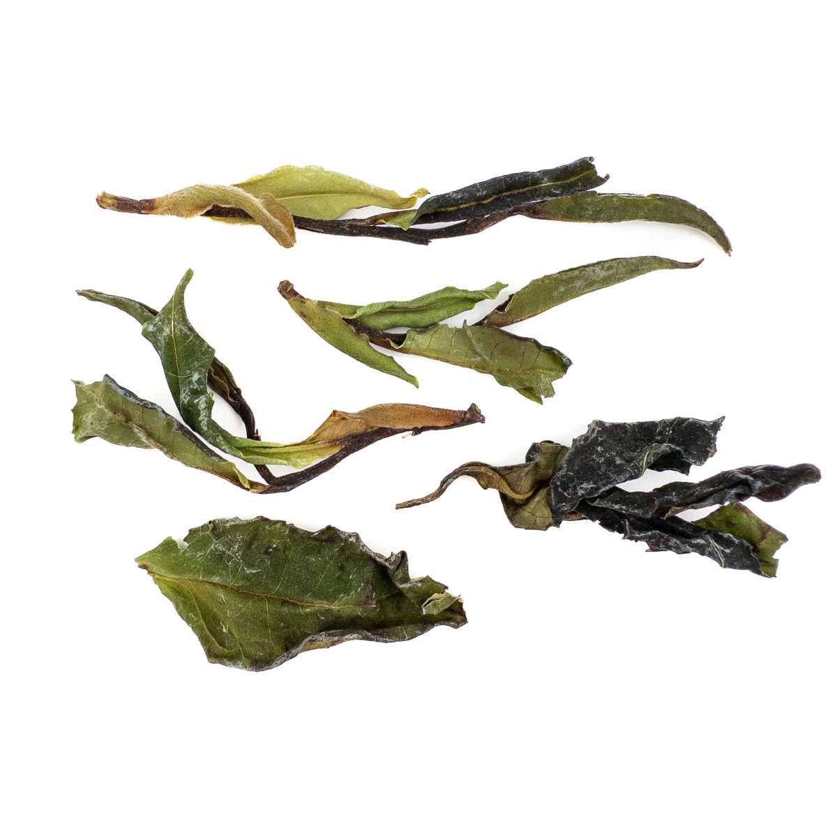 Purple Moonlight White Tea from Yunnan